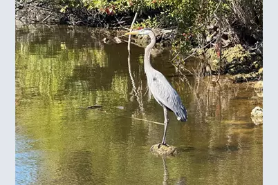 7 & 9 Chickadee Lane, Placida, FL 33946 - Photo 12