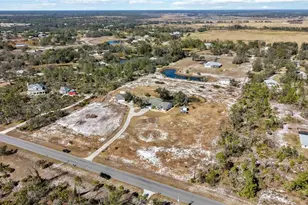 10222 289th St E, Myakka City, FL 34251 - Photo 46