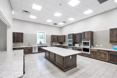 17203 Corinna Place, Lakewood Ranch, FL 34202 - Photo 64