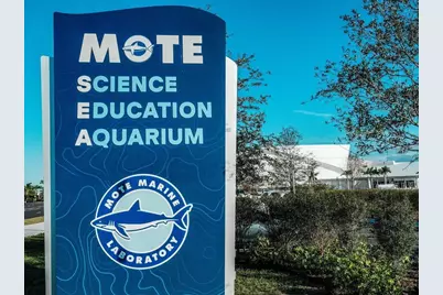 3524 Prado Drive, Sarasota, FL 34235 - Photo 82