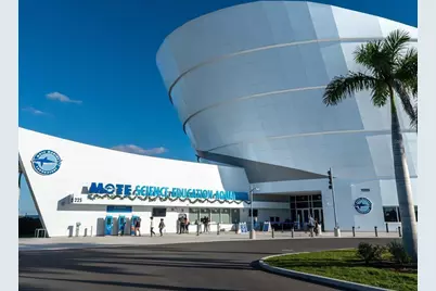 3524 Prado Drive, Sarasota, FL 34235 - Photo 76