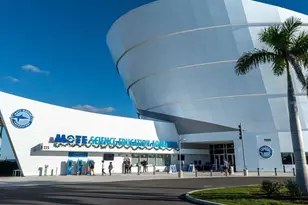 3524 Prado Dr, Sarasota, FL 34235 - Photo 76