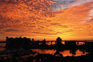 1255 N Gulfstream Ave, Sarasota, FL 34236 - Photo 82