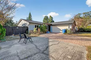 3801 Southview Dr, Brandon, FL 33511 - Photo 4