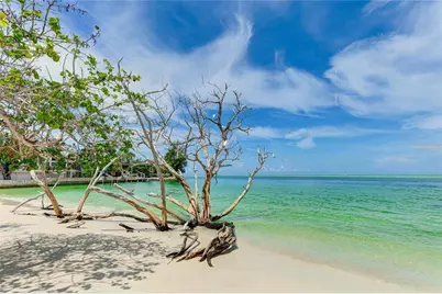 11 Sandy Cove Road #8F, Sarasota, FL 34242 - Photo 38