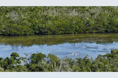 1750 Benjamin Franklin Drive #F, Sarasota, FL 34236 - Photo 58