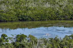 1750 Benjamin Franklin Dr, Sarasota, FL 34236 - Photo 58