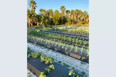 6906 18th Avenue W, Bradenton, FL 34209 - Photo 62