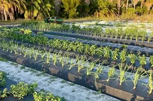 6906 18th Ave W, Bradenton, FL 34209 - Photo 62