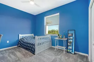 523 Grand Preserve Cove, Bradenton, FL 34212 - Photo 30