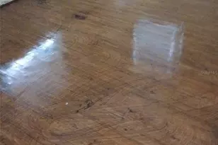 5604 Riverside Dr, Yankeetown, FL 34498 - Photo 2