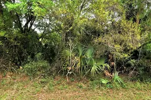 Backert Rd, North Port, FL 34291 - Photo 1