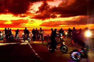 6415 Midnight Pass Rd, Sarasota, FL 34242 - Photo 54