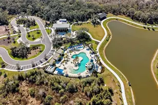 10116 Cross River Trl, Parrish, FL 34219 - Photo 50