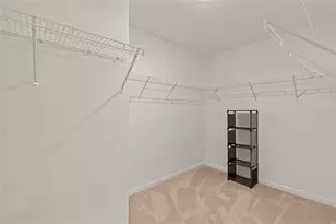 10463 Ladybug Cv, Parrish, FL 34219 - Photo 10