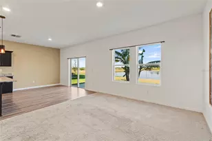 10463 Ladybug Cv, Parrish, FL 34219 - Photo 6