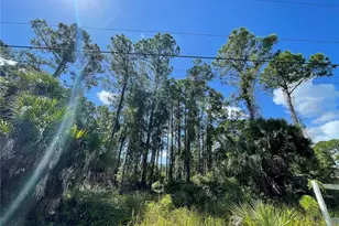 Noppenberg Ave, North Port, FL 34288 - Photo 1