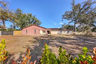 3917 Desoto Rd, Sarasota, FL 34235 - Photo 4