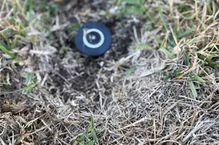 8304 Princess Ct, Palmetto, FL 34221 - Photo 38