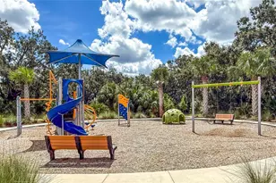 10170 Daybreak Glen, Parrish, FL 34219 - Photo 56
