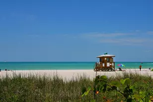 2551 Hibiscus St, Sarasota, FL 34239 - Photo 26