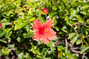 1100 Capri Isles Blvd, Venice, FL 34292 - Photo 54