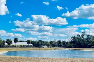 2209 Pleasure Run Dr, Ruskin, FL 33570 - Photo 24