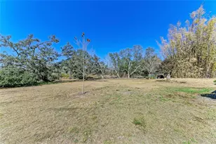 4678 253rd St E, Myakka City, FL 34251 - Photo 38