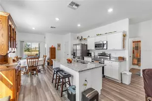 10427 Ladybug Cv, Parrish, FL 34219 - Photo 4