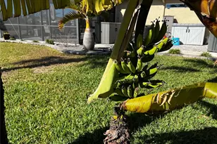 622 Boundary Blvd, Rotonda West, FL 33947 - Photo 52