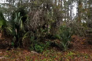 Neon Ave, North Port, FL 34291 - Photo 1