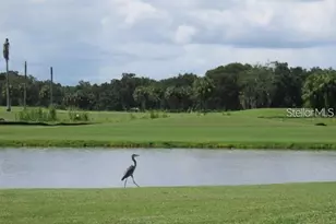 1507 Lantana Ct, Palmetto, FL 34221 - Photo 46