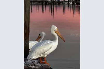 10315 Cortez Road W #26J, Bradenton, FL 34210 - Photo 24