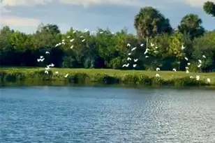 10253 Canaveral Cir, Sarasota, FL 34241 - Photo 44