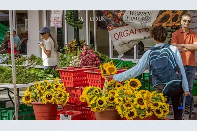 111 Golden Gate Point #403, Sarasota, FL 34236 - Photo 48