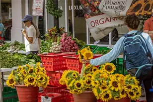 111 Golden Gate Point, Sarasota, FL 34236 - Photo 48