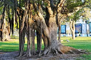 7322 Westmoreland Dr, Sarasota, FL 34243 - Photo 48