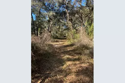 12050 NW 90th Avenue, Chiefland, FL 32626 - Photo 14