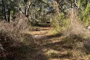 12050 NW 90 Ave, Chiefland, FL 32626 - Photo 14