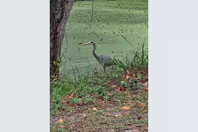 5165 Cedar Hammock Ln #5165, Sarasota, FL 34232 - Photo 60