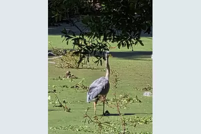 5165 Cedar Hammock Ln #5165, Sarasota, FL 34232 - Photo 58