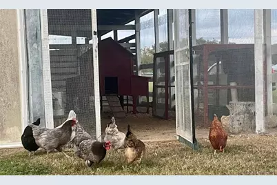 331 SE Highway 42, Summerfield, FL 34491 - Photo 66