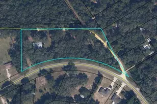 6930 Co Rd 214, Melrose, FL 32666 - Photo 44