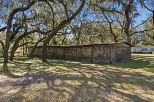 6930 Co Rd 214, Melrose, FL 32666 - Photo 40