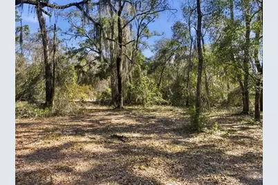 6930 County Road 214, Melrose, FL 32666 - Photo 38