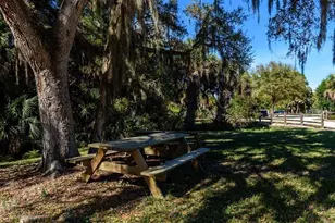 2876 Hardee Dr, Sarasota, FL 34231 - Photo 54