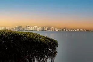 2450 Harbourside Dr, Longboat Key, FL 34228 - Photo 30