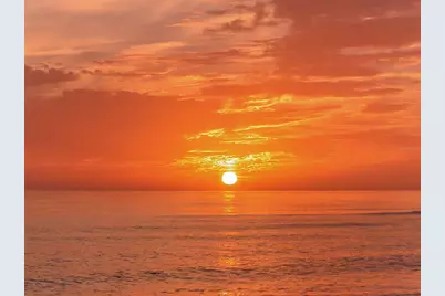 454 Palmetto Court, Venice, FL 34285 - Photo 58