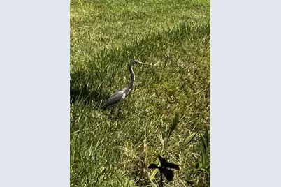 4220 Central Sarasota Parkway #1214, Sarasota, FL 34238 - Photo 48