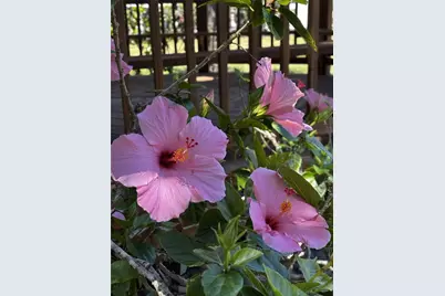 4220 Central Sarasota Parkway #1214, Sarasota, FL 34238 - Photo 58